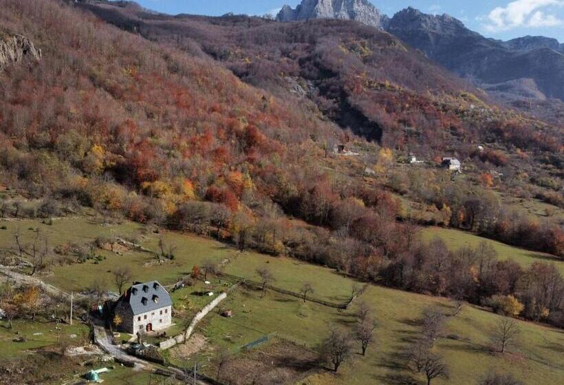 پانسیون Guest House Rrashkadoli