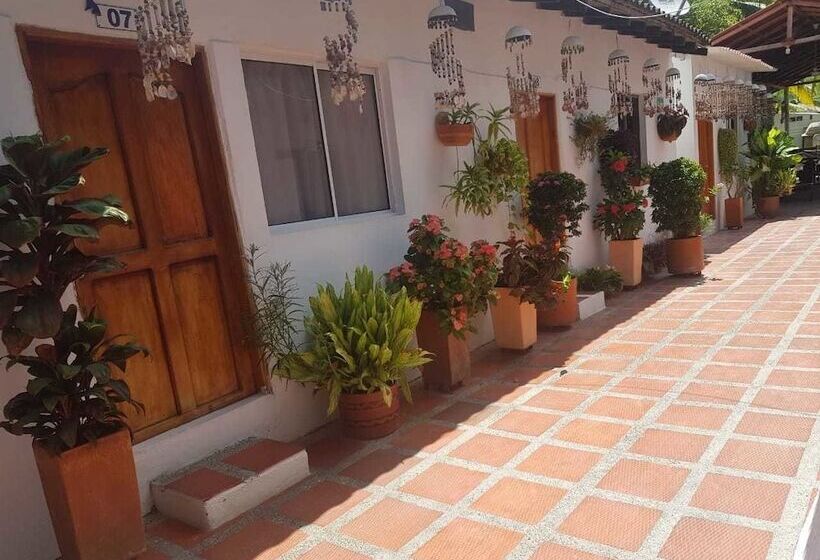 هتل Playa Tiburon