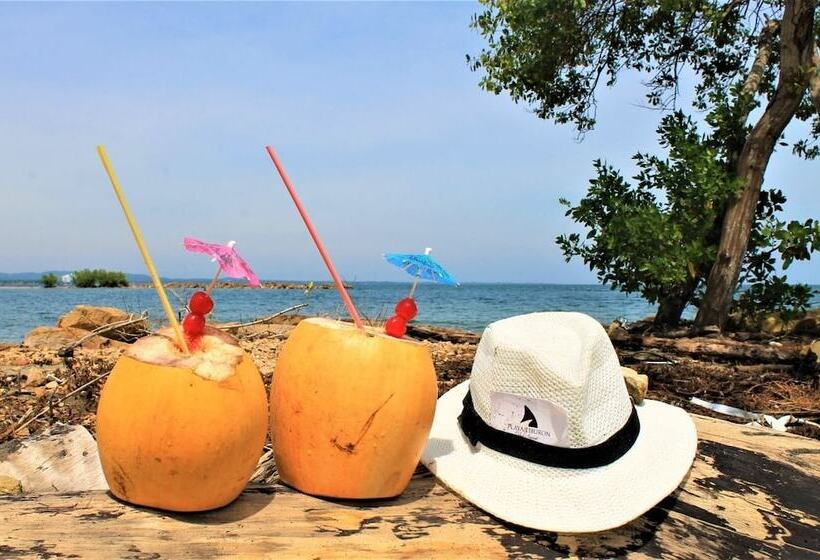 هتل Playa Tiburon