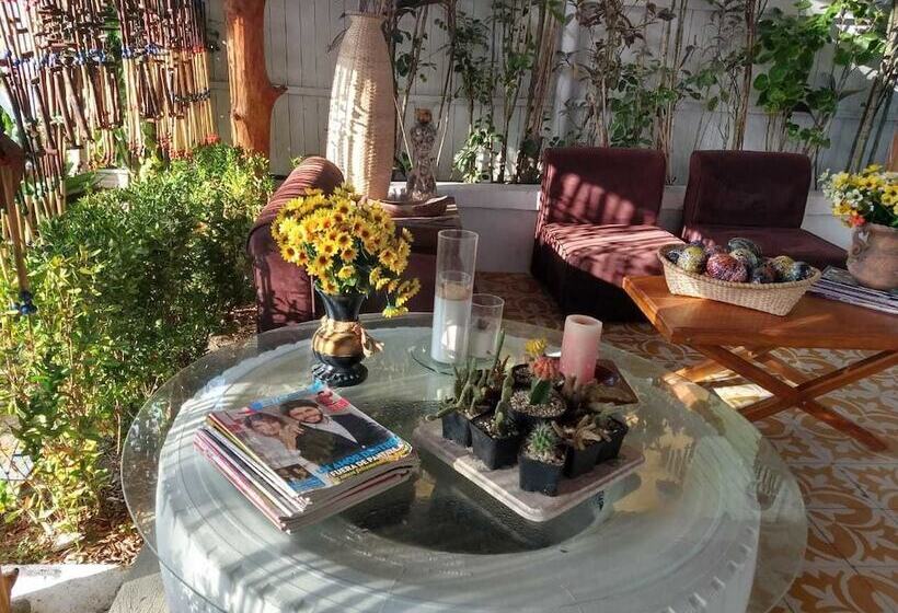 هتل Playa Tiburon