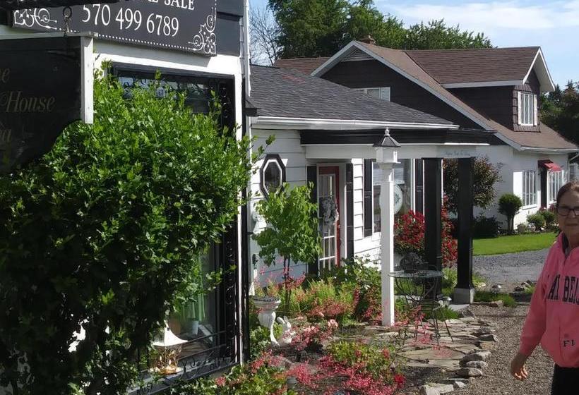 펜션 The Guest House At The Regina House Tea Room