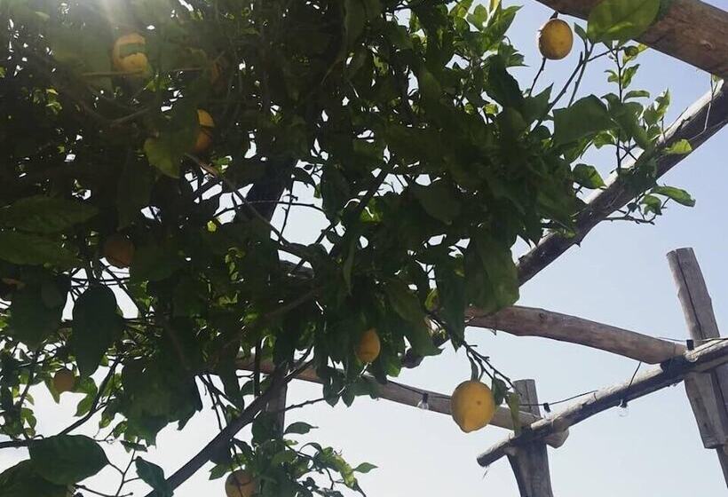 تختخواب و صبحانه Torre Elisea