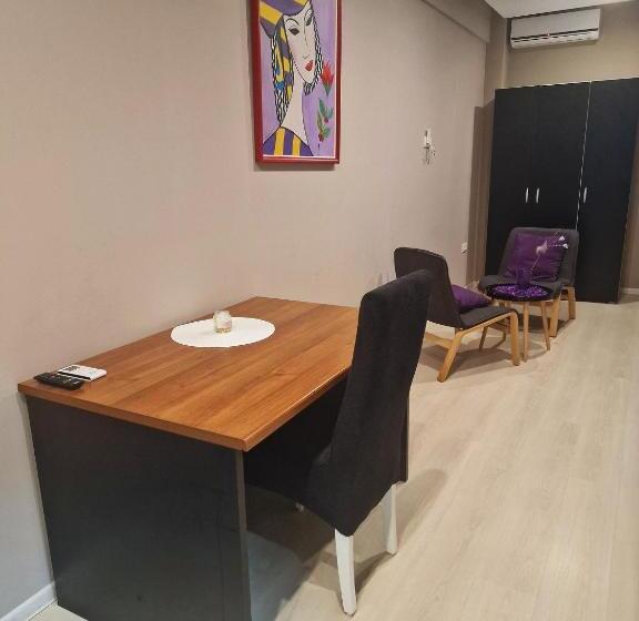 پانسیون Vilin