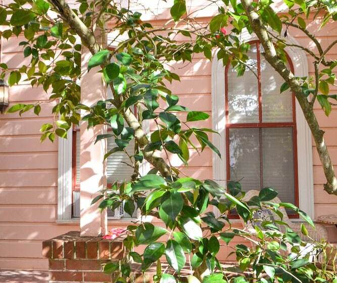 هتل Camellia Inn
