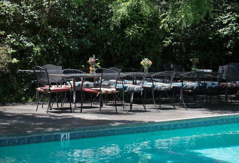 هتل Camellia Inn