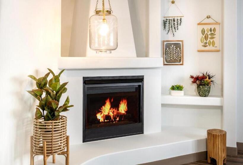 هتل Cardiff By The Sea Lodge