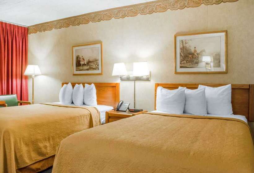 ホテル Quality Inn & Suites