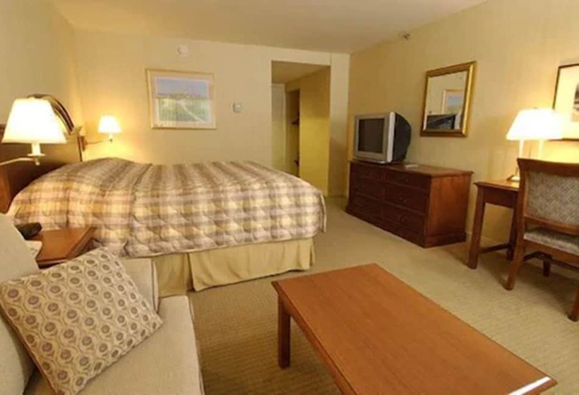 Отель Rockville Centre Inn