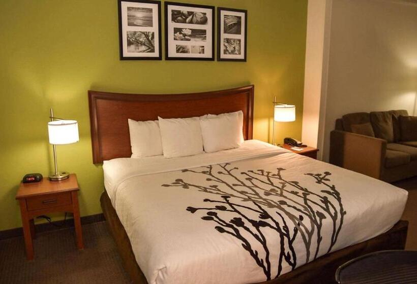 فندق Sleep Inn & Suites