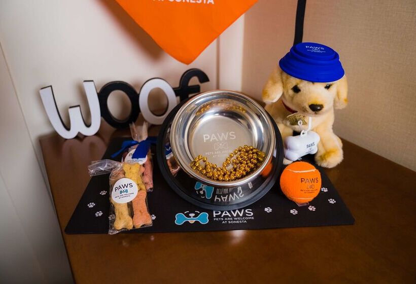 فندق Sonesta Simply Suites Albuquerque