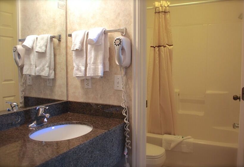 هتل St. George Inn And Suites