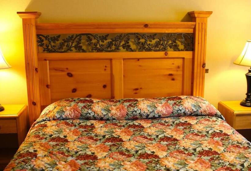 汽车旅馆 San Luis Inn And Suites
