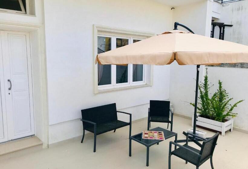 住宿加早餐  Salento Levante