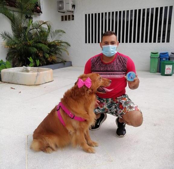 هتل Es Lancers, Melgar