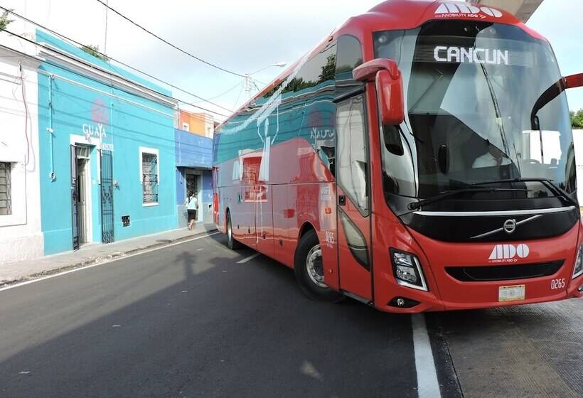 Guaya Hostel