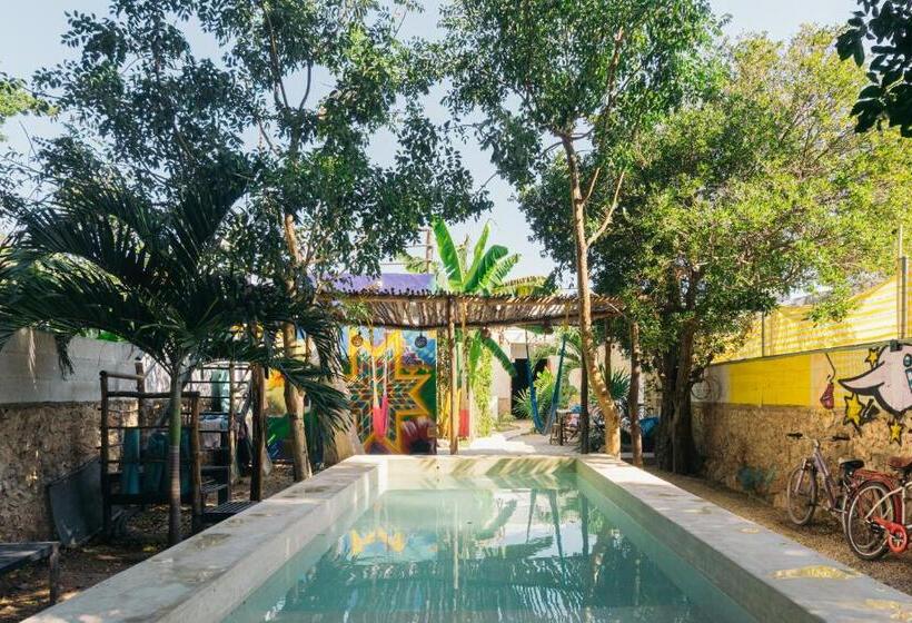 Guaya Hostel