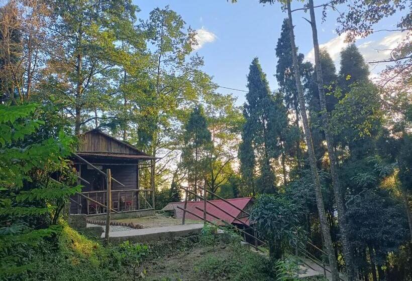 پانسیون Orion Retreat