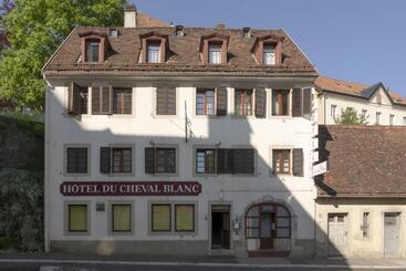 هتل Hôtel Du Cheval Blanc