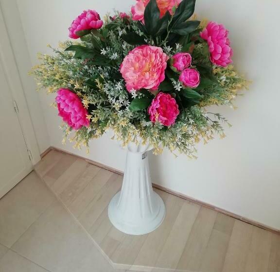 بنسيون Il Galeone