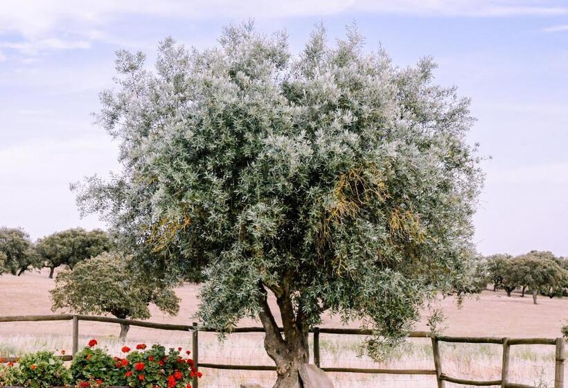 בית מלון כפרי Casas Da Faia   Nature Guest House