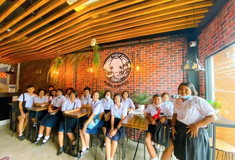 מלון כמוסות Sleepbox Hostel Suratthani