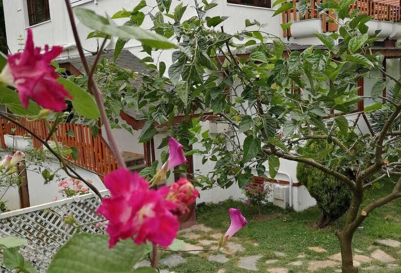 Beyaz Ev Butik Otel Masukiye