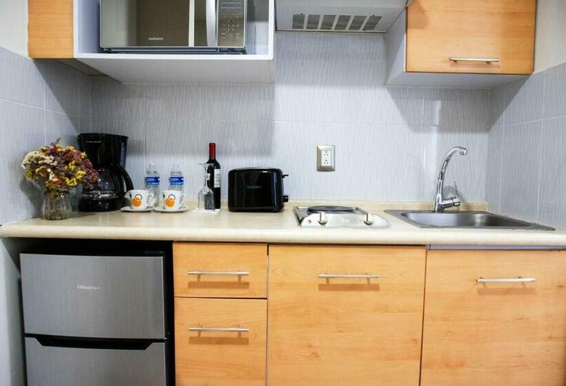 Fotos del hotel Suites Coben Apartamentos Amueblados:  47