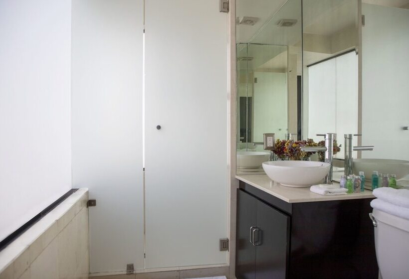Fotos del hotel Suites Coben Apartamentos Amueblados:  30