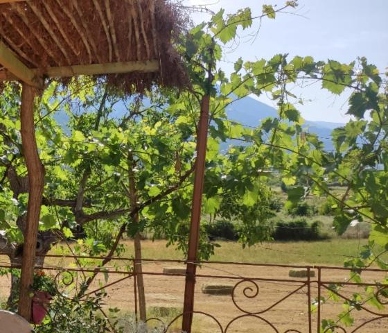 بنسيون Bujtina Polimen