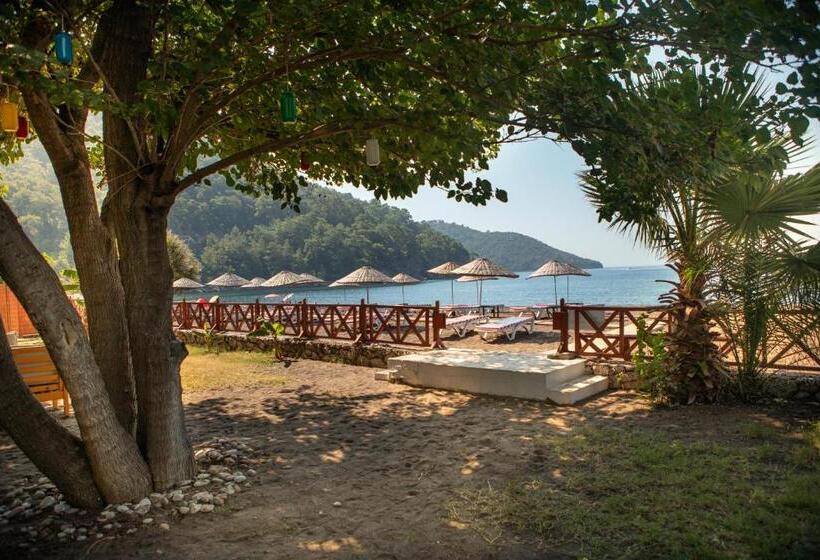 استراحتگاه Eden Bungalows And Beach