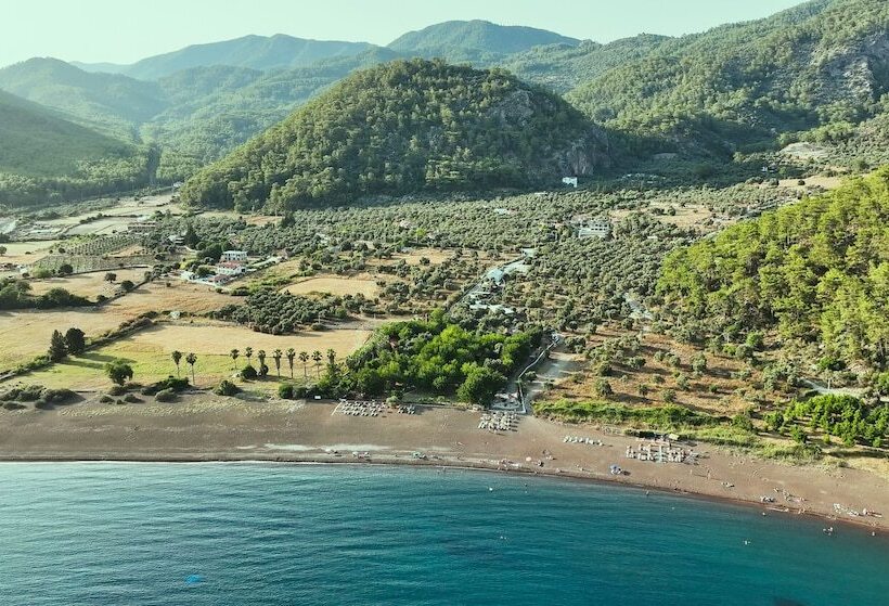 استراحتگاه Eden Bungalows And Beach