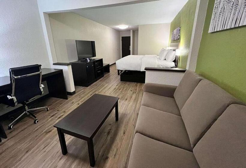 هتل Sleep Inn & Suites Salina I 135