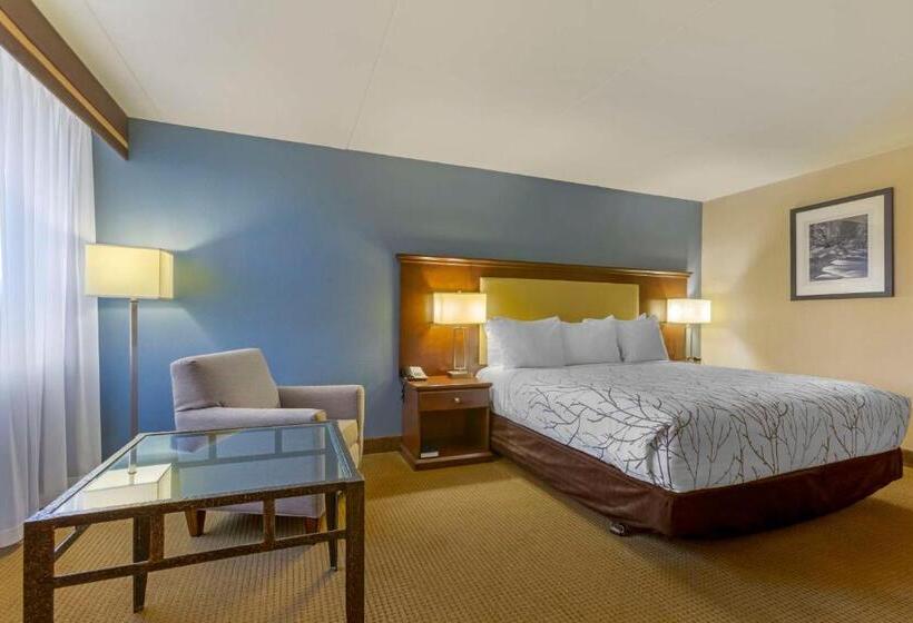 هتل Best Western Plus Coeur D'alene Inn
