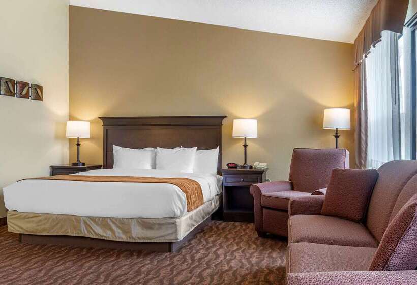 בית מלון כפרי Comfort Inn At Thousand Hills Branson