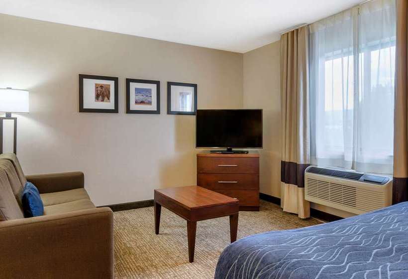 酒店 Comfort Inn Bozeman Near University
