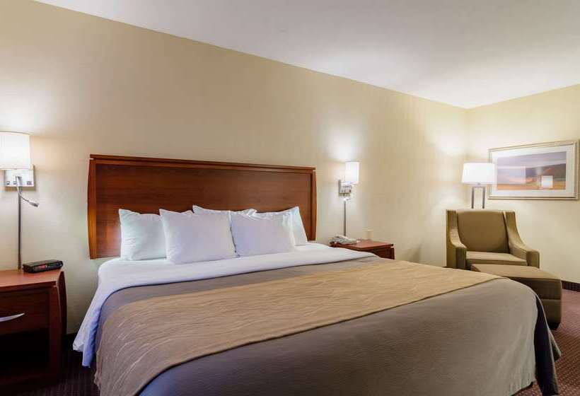 ホテル Comfort Inn