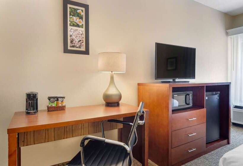 هتل Comfort Inn Douglasville  Atlanta West