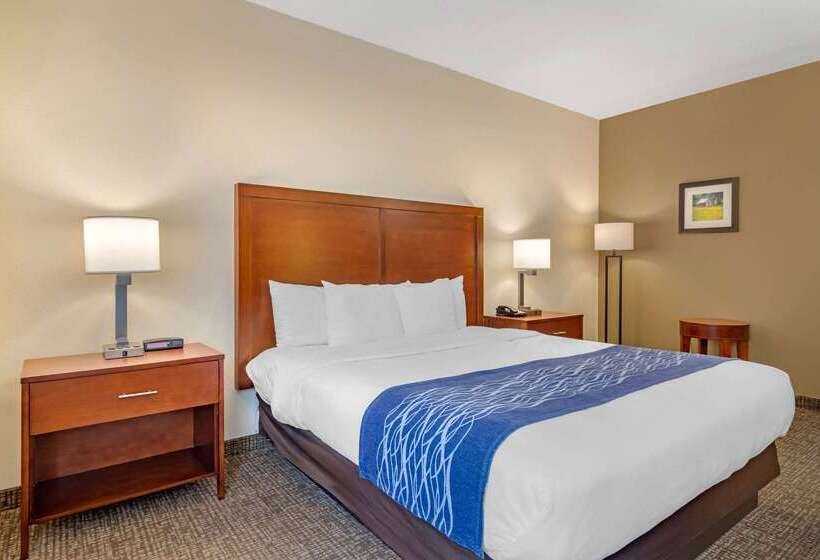 هتل Comfort Inn Douglasville  Atlanta West