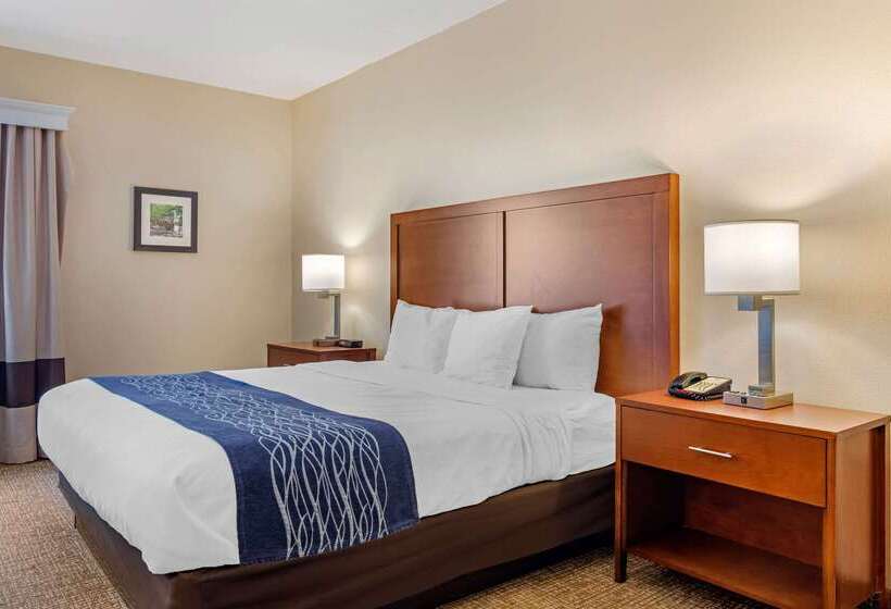 هتل Comfort Inn Douglasville  Atlanta West