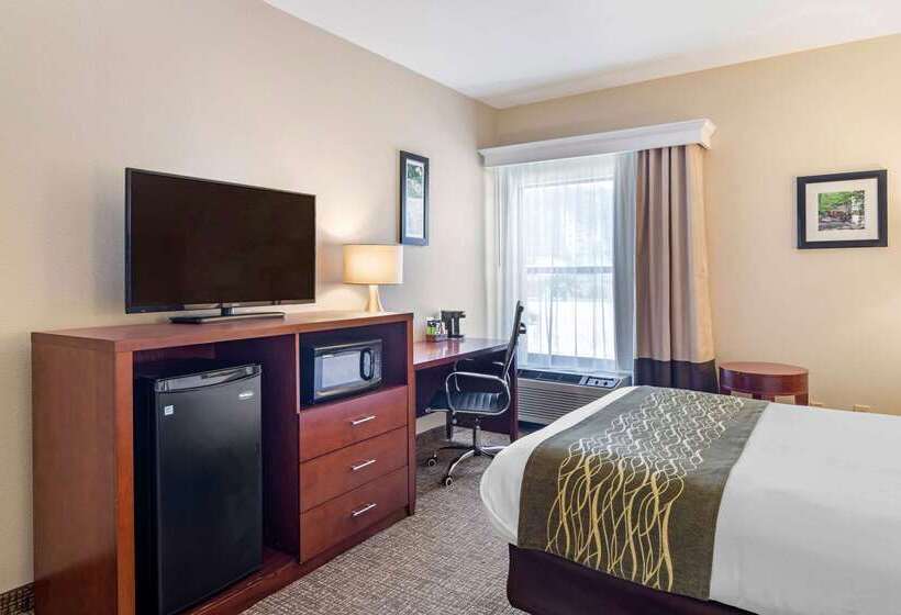 Hotel Comfort Inn Douglasville  Atlanta West