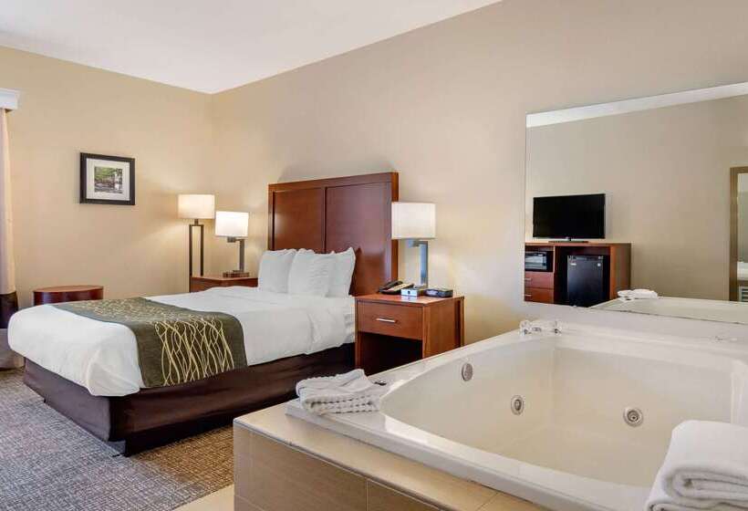 هتل Comfort Inn Douglasville  Atlanta West