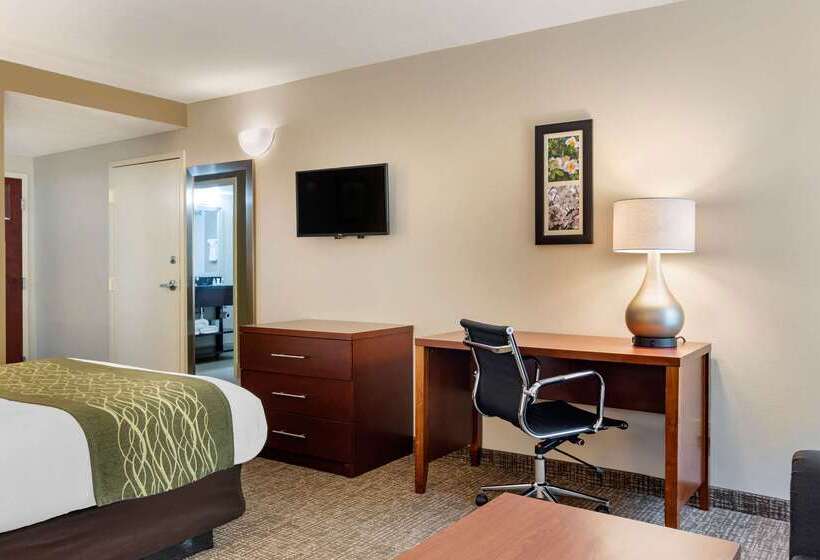هتل Comfort Inn Douglasville  Atlanta West