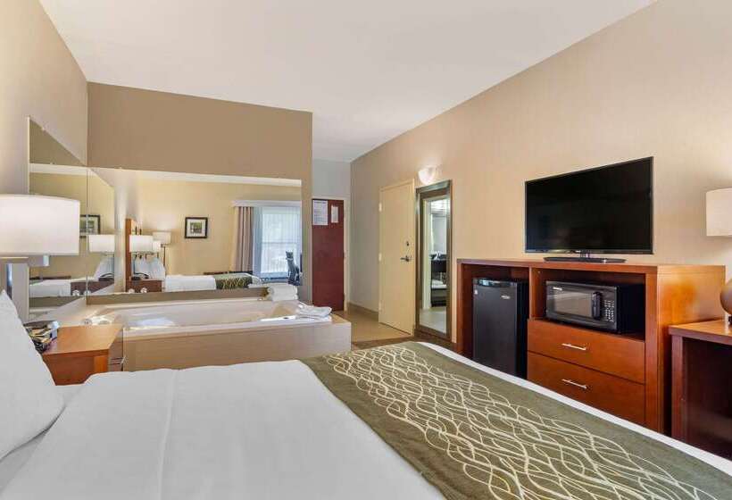 هتل Comfort Inn Douglasville  Atlanta West