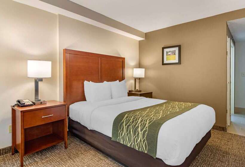 هتل Comfort Inn Douglasville  Atlanta West