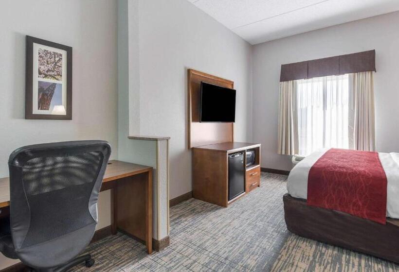 酒店 Comfort Inn Grove City Columbus South
