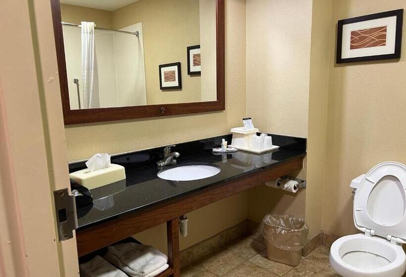 فندق Comfort Inn