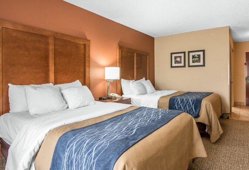 Отель Comfort Inn
