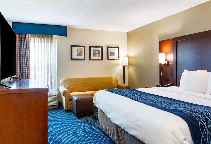호텔 Comfort Inn