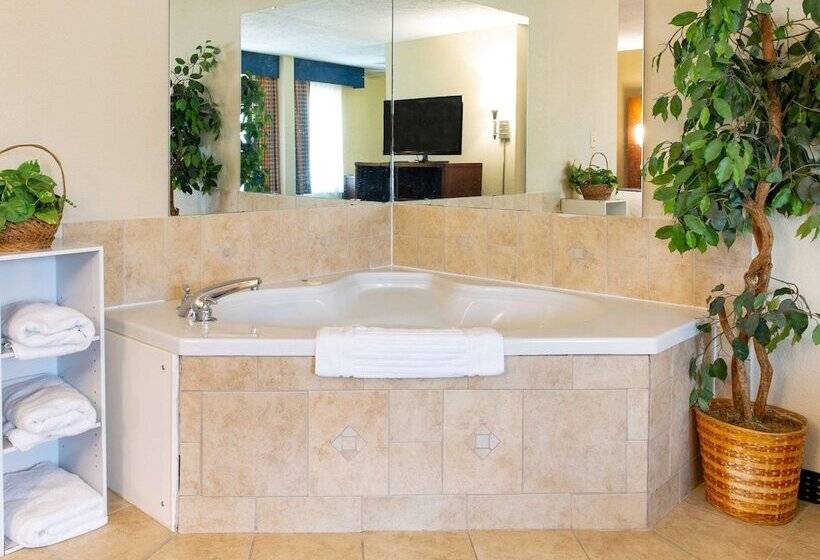 호텔 Comfort Inn