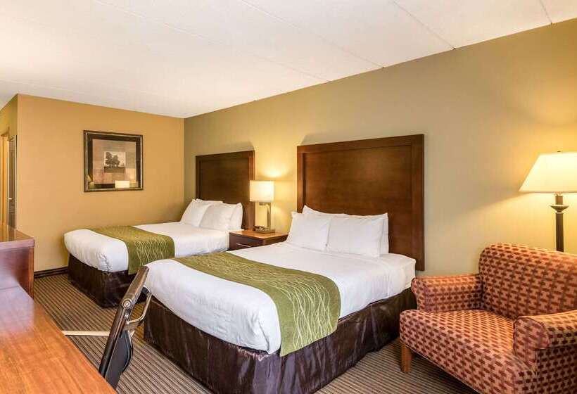 Hotel Comfort Inn Plymouthminneapolis